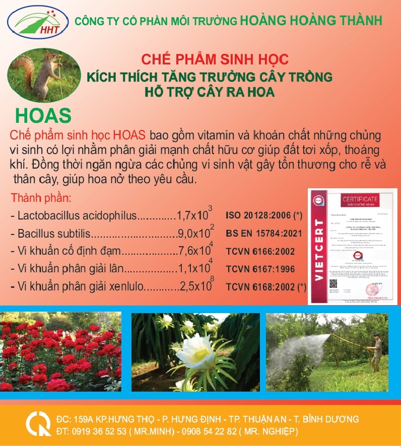 Chế Phẩm Sinh Học Hỗ Trợ Cây Ra Hoa 2L 1